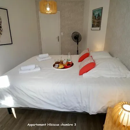 Apartment De Caractere Centre