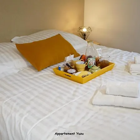 Apartment De Caractere Centre Vannes